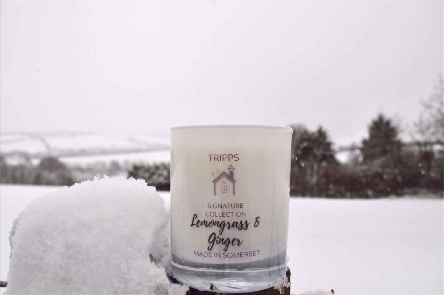 snow in somerset 3